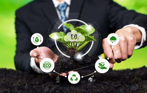 Businessman growing young seedling plant on soil as ESG commitment. Reliance