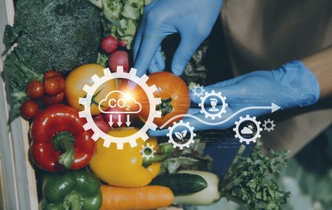 Futuristic businessman farms vegetables and crops using modern A