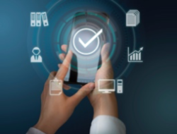 الإدارة العليا